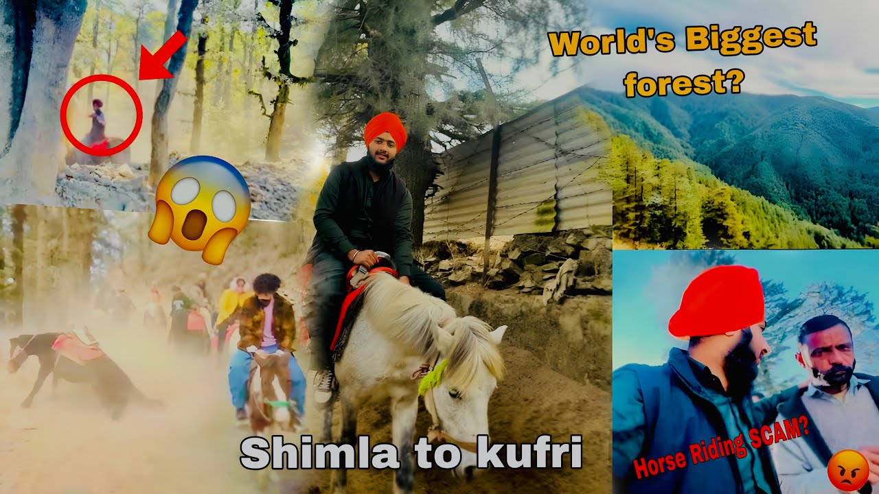 Shimla To Kufri Horse Ride 🐎 | HAALAT KHARAB 😵‍💫 | World’s Biggest Forget Experience! Day :-3