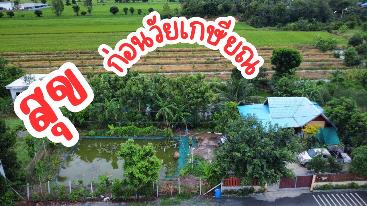 สุขก่อน เกษียณ กับ สวนผสมผสาน ในพื่อที่1ไร่ เพราะเดินตามรอยพ่อหลวง รับ ๙ มั่งคั่ง มั่นคง และ ยั่งยืน