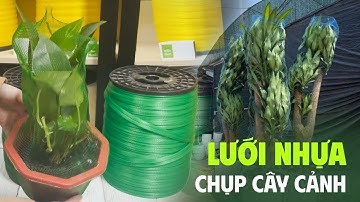 Lưới chụp bảo vệ cây cảnh khi vận chuyển/sanxuattuiluoi.com