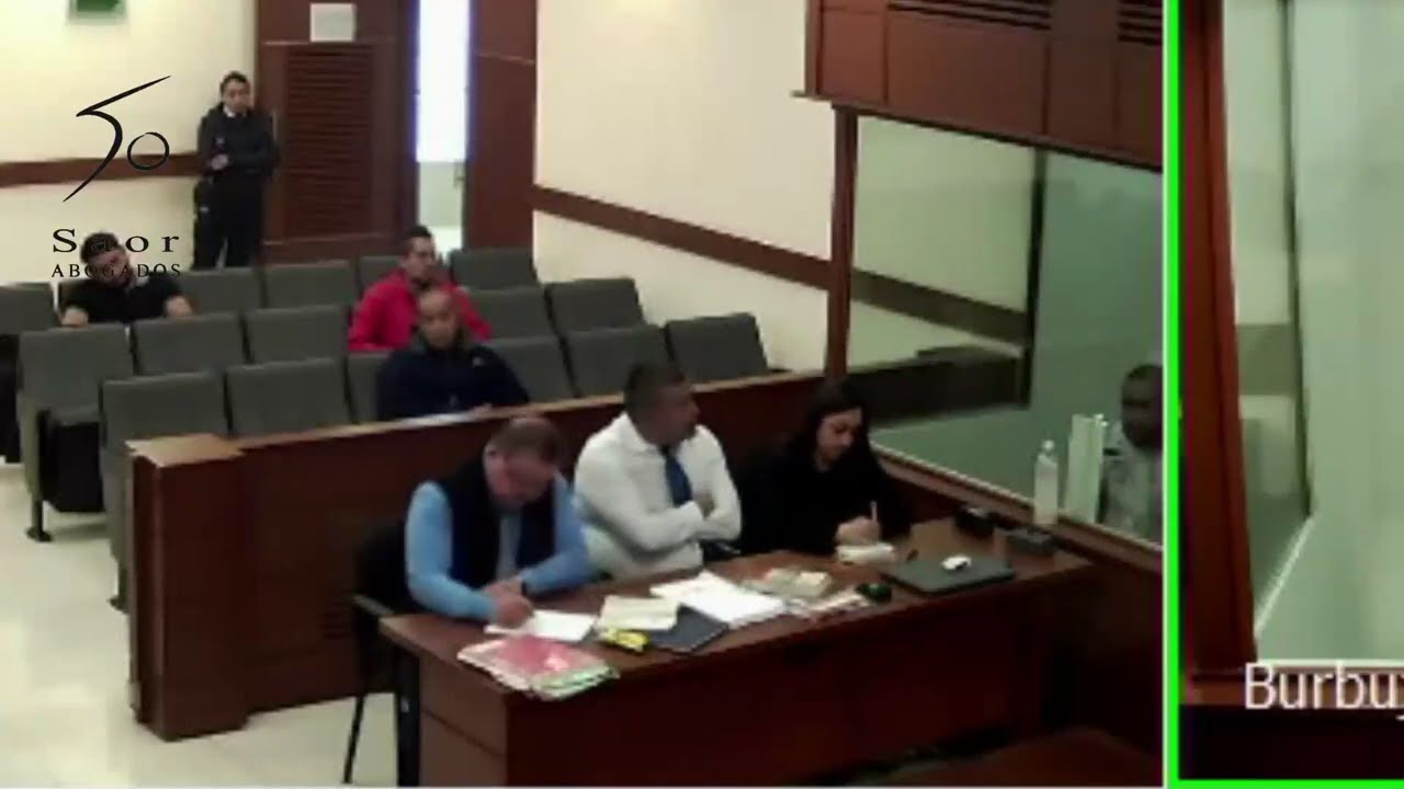 Audiencia Inicial - despojo Pte 2