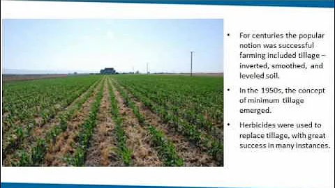 Herbicide-resistant Weeds Threaten Soil Conservation Gains: Finding a Balance