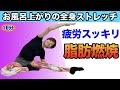 【全身ストレッチ】で脂肪燃焼  お風呂上がり10分ナイトルーティン【激やせダイエット】