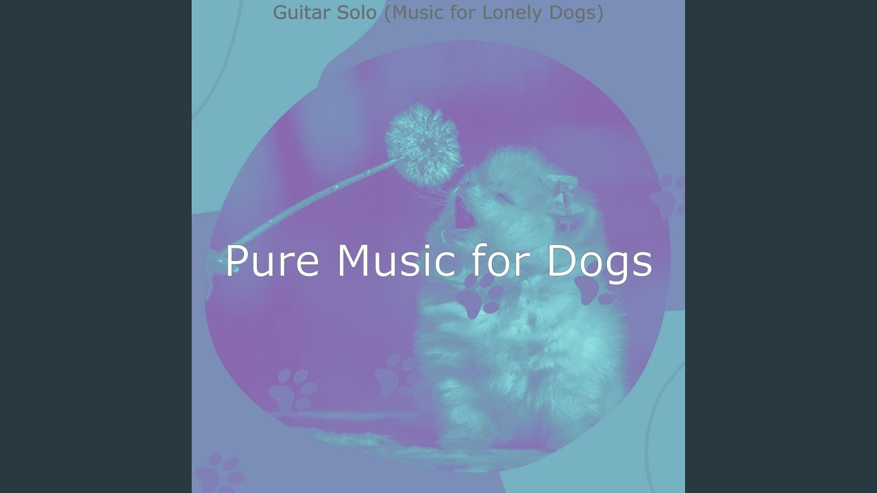 Mellow Ambience for Dogs