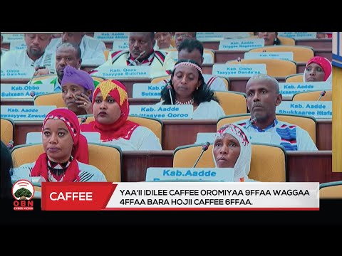 Bir olomon katta mushukcha kirib keldi Onlayn telekorsatuvlarda yalangoch odamlar