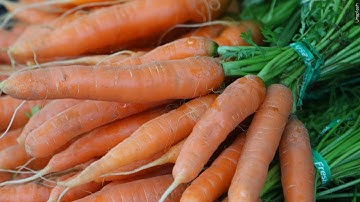 Covering Your Health: Carrot E. coli Warning & Recall