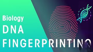 DNA Fingerprinting by Shomus Biology | One Shot Complete Revision |