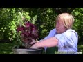 Container Gardening: How to design and plant a container, by Garden Making magazine