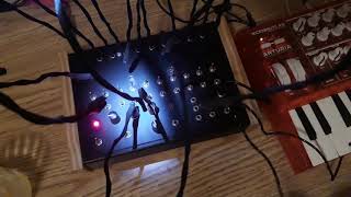 The Medusatron Optical Sequencer