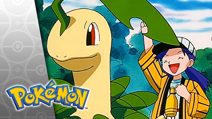 The Bug Stops Here | POKÉMON FULL EPISODE 4 | Season 4