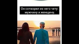 аль-Кийама - Сура 36 - 40 / Абу Зейд