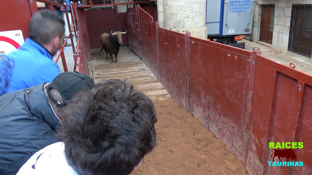 CIUDAD RODRIGO 2026 -  MARTES DE CARNAVAL - 17 DE FEBRERO