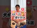 こんな遊び方をしたら、それだけで愛犬との絆が深まるよ🐶✨犬が喜ぶ遊び方6選 #犬 #犬のしつけ #犬のいる暮らし