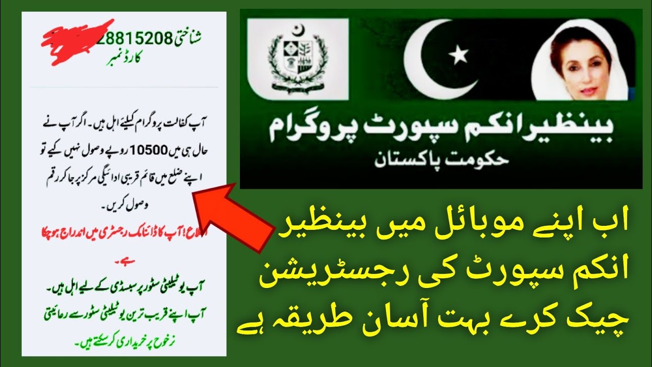Benazir Income Support Program Check How To Check Benazir income support program Money 2024 | Benazir income ...