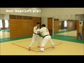 JUDO ４ directions Uchikomi（柔道４方向の打ち込み）