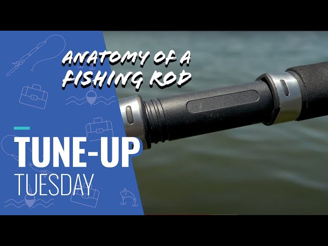 Tune Up Tuesday - Anatomy of a Fishing Rod - Fishing Rods
