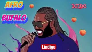 AFRO BUFALO - DJ LUC ( REMIX AFRO DANCE )