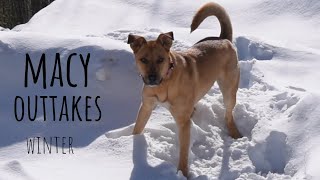 Macy outtakes - winter edition