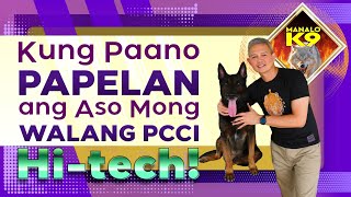 Kung Paano PAPELAN ang Aso Mong WALANG PCCI  Hitech!