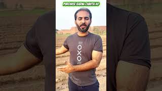 chia seeds update-sctor C100 || ARB FARMS