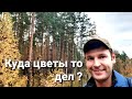 Как я правду скрываю / Судьба моих растений какова ???