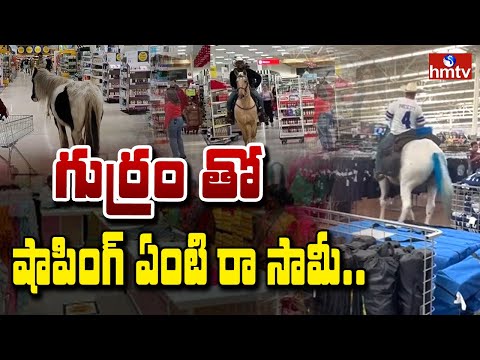 TO THE POINT : గుర్రం తో షాపింగ్ ఏంటి రా సామీ..! | hmtv - HMTVNEWS