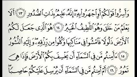 سورة الملك القارئ محمد صالح ابو زيد