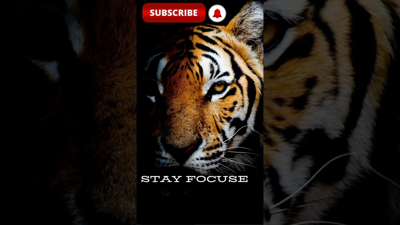 Motivational # courage # YouTube shorts # trending # viral #