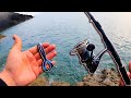 Wrasse Fishing off the Rocks with Creature Baits! (Westin Ringcraw)