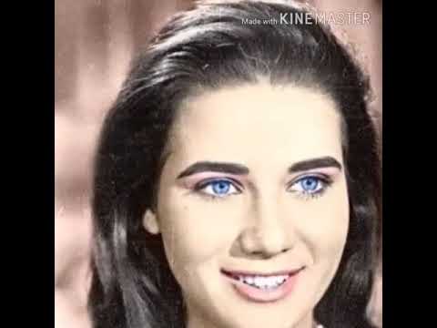 غلاوة الغالى محرم فؤاد   