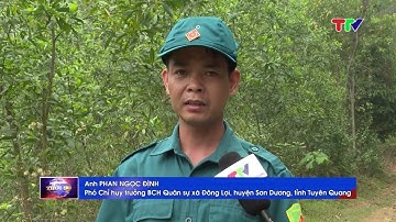 TĂNG CƯỜNG CÔNG TÁC QUẢN LÝ, BẢO VỆ RỪNG