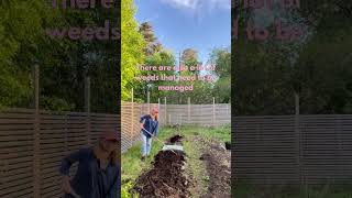 What to do before and after sowing seeds #garden