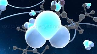 Reel 2017 Reel 2017