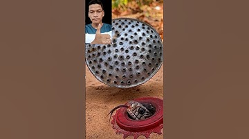 đặt bẫy rắn độc lạ Bình Dương quá đỉnh cả nhà ơi