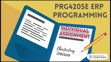 ERP Individual Assignment