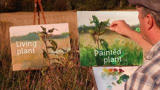 How I Paint Roadside Weeds by James Gurney 51,406 views 3 months ago 13 minutes, 40 seconds