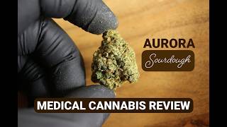 Sourdough | Aurora | UK Medical Cannabis Review