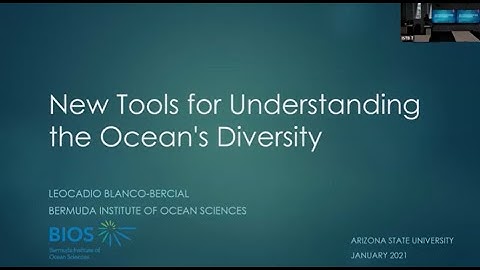 New Tools for Understanding the Ocean