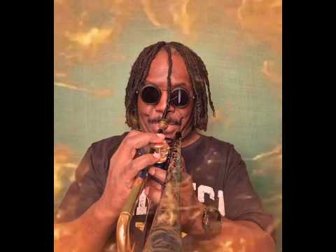 TWO OCTAVE JUMPS - MUST SEE!!  #db #trumpet #darrenbarrett #jazz #db #love #live #music #flow #life
