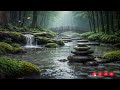 夜の竹林 水音とともに眠りへ