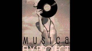 Fly Project - Musica