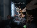 Talking Mosquito Reveals Deadly Truth 😱 | Avoid Dengue &amp; Malaria FAST! 🦟 Mosquito Warnings