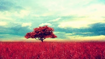 (سورة الناس) تلاوةرائعة بصوت عذب للشيخ -وديع اليمني-