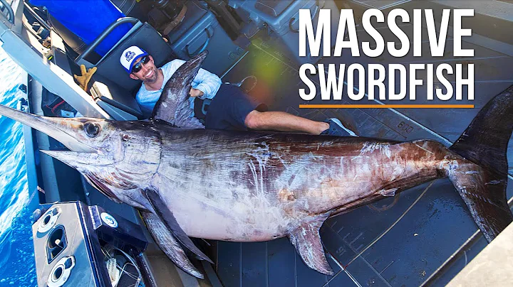 Greatest Swordfish Fishing in the World
