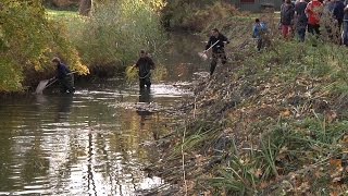 Fiskeundersøgelse Med Elektrostrøm - Tv-Ishøj
