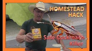 HOMESTEAD HACK - SAFE COCKROACH KILLER by PINE MEADOWS HOBBY FARM A Frugal Homestead 448 views 1 month ago 5 minutes, 57 seconds