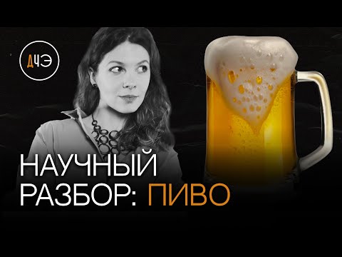 Что будет, если пить пиво каждый день? | Научный разбор