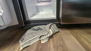 GE Side-by-Side Fridge Leaks Water Onto Floor