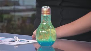 Elaina's Experiments: Lava Lamp