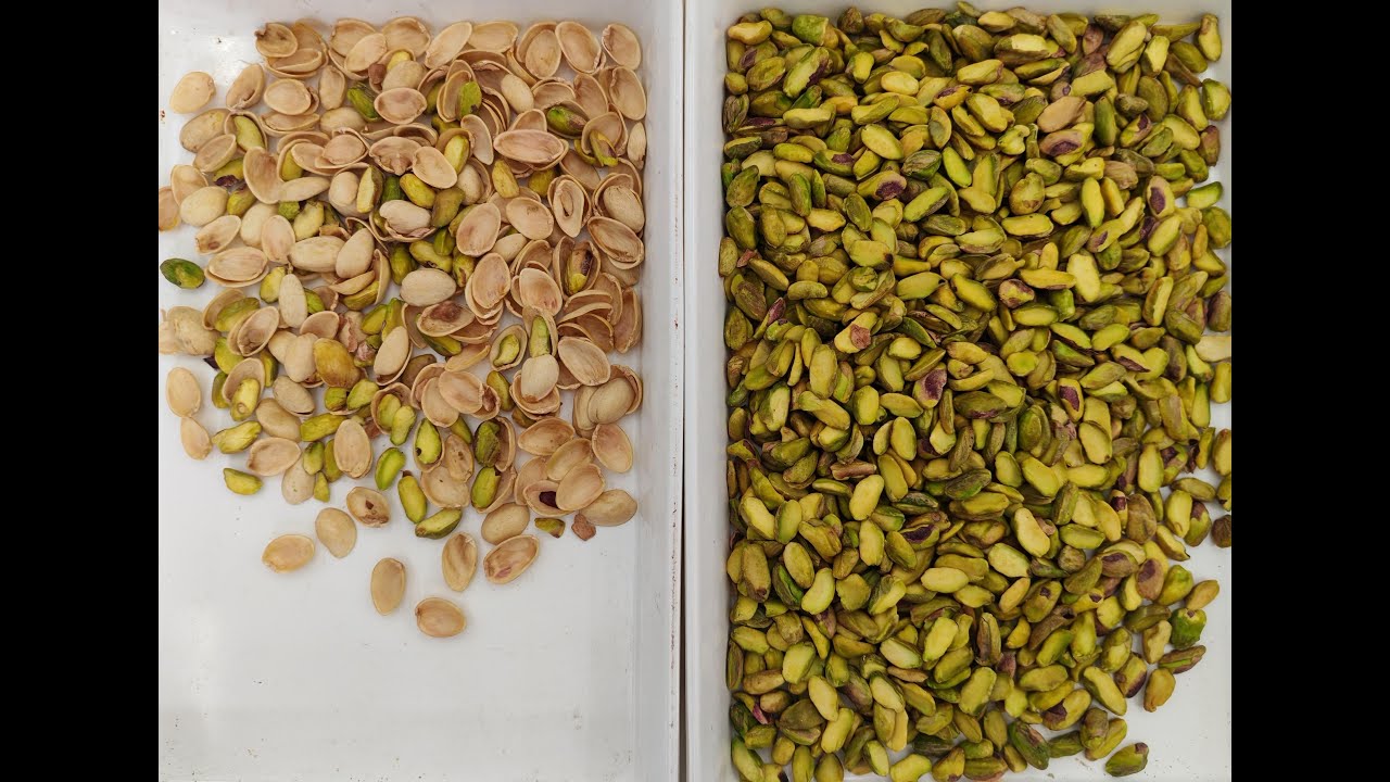 Topsort high capacity pistachio color sorter sorting shell from kernel ...