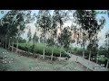 HDZero Goggles Range Test 🌲 Stock Antennas vs Trees